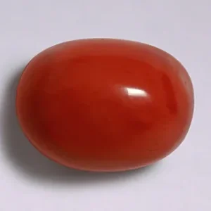 Red Coral - 4.03 Carats