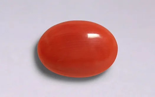 Red Coral - 3.76 Carats