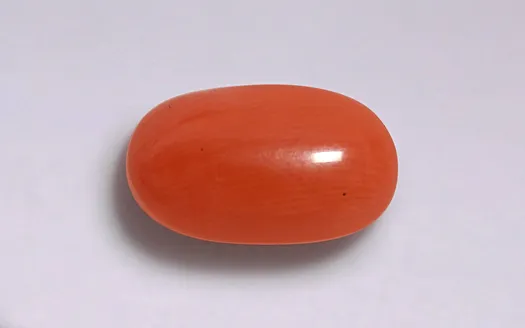 Red Coral - 3.51 Carats