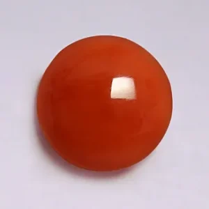 Red Coral - 3.47 Carats