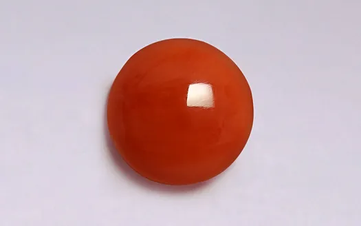 Red Coral - 3.47 Carats