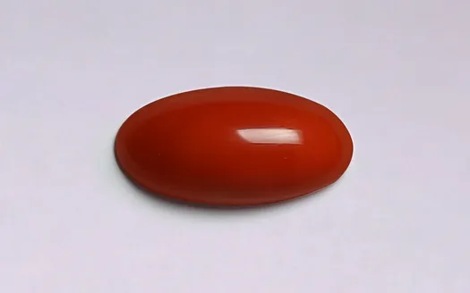 Red Coral - 3.48 Carats