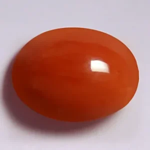 Red Coral - 3.28 Carats