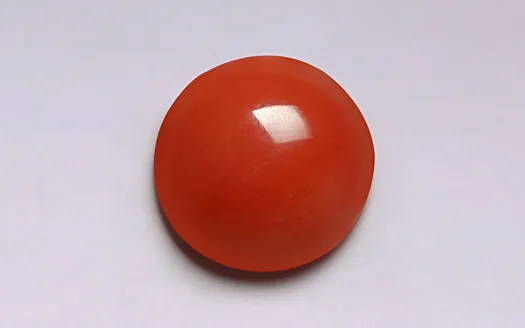 Red Coral - 3.29 Carats
