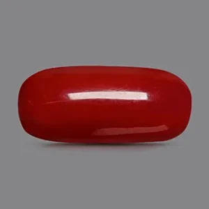 Red Coral - 3.33 Carats