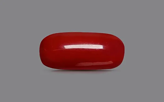 Red Coral - 3.33 Carats