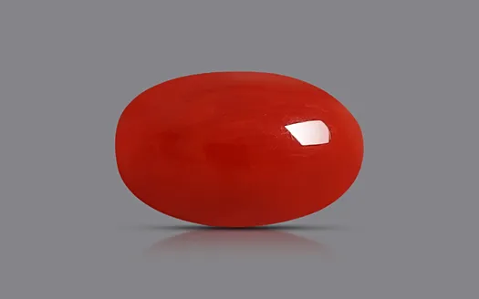 Red Coral - 3.40 Carats