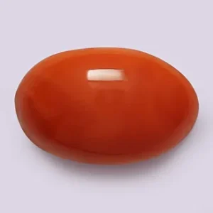 Red Coral - 3.35 Carats
