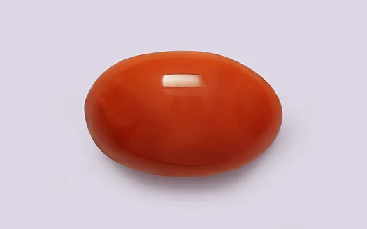 Red Coral - 3.35 Carats