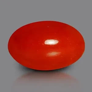 Red Coral - 3.75 Carats