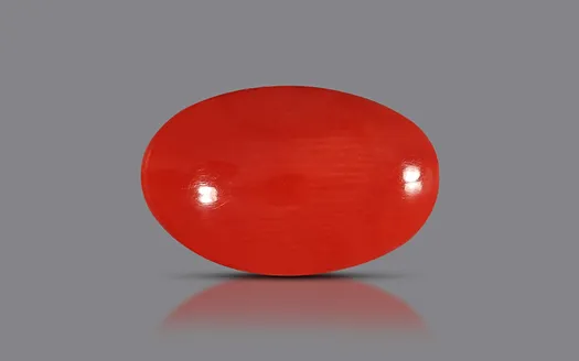 Red Coral - 3.45 Carats