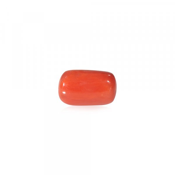 Red Coral - 21.52 Carat