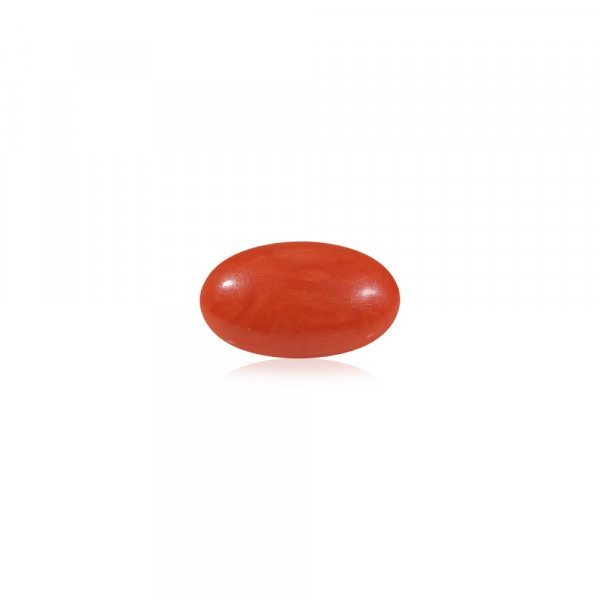 Red Coral (Laal Moonga) - 4.53 Carat